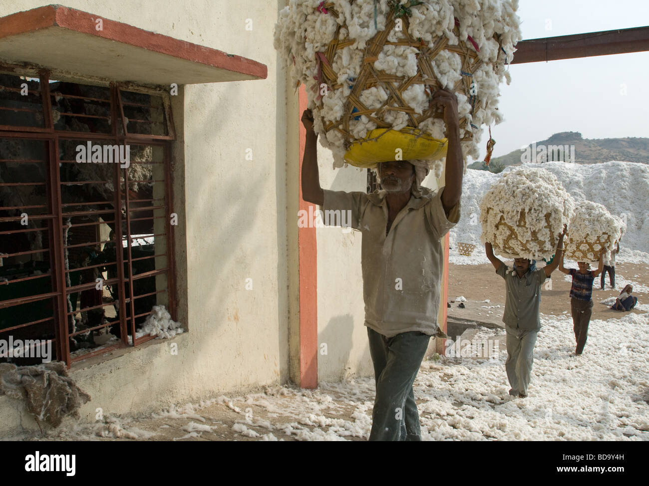 Cottonworkers tragen Körbe voll von Baumwolle an einen Verarbeitungsbetrieb nahe Aurangabad, Maharashtra, Indien Stockfoto