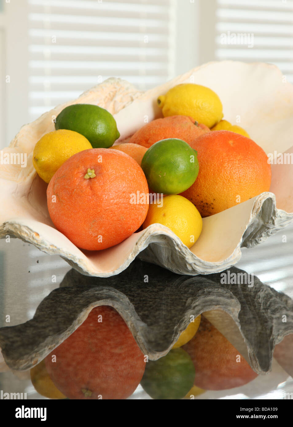 Zitrusfrüchte in clamshell Stockfoto