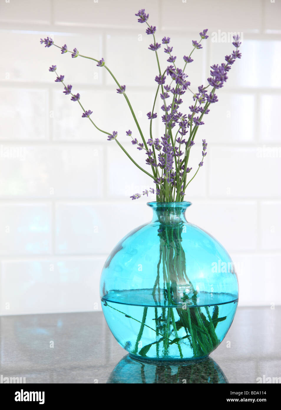 Lavendel in blauem Glasvase Stockfoto