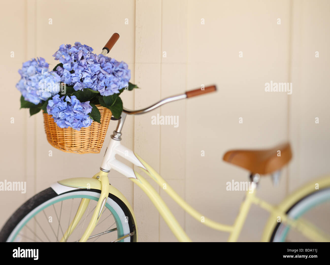 Fahrrad mit Blumen im Korb Stockfoto