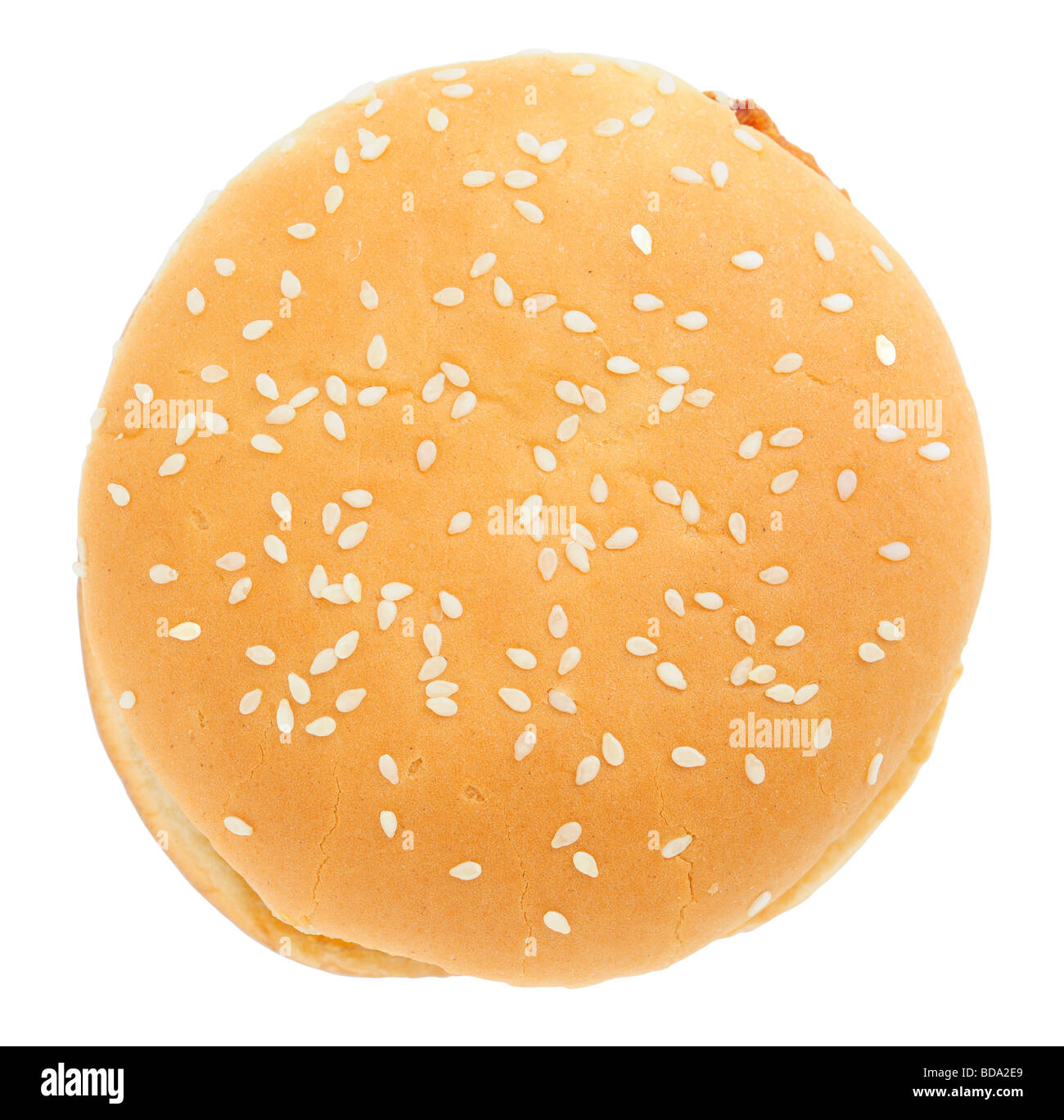 Burger, die isoliert auf weißem Hintergrund Stockfoto