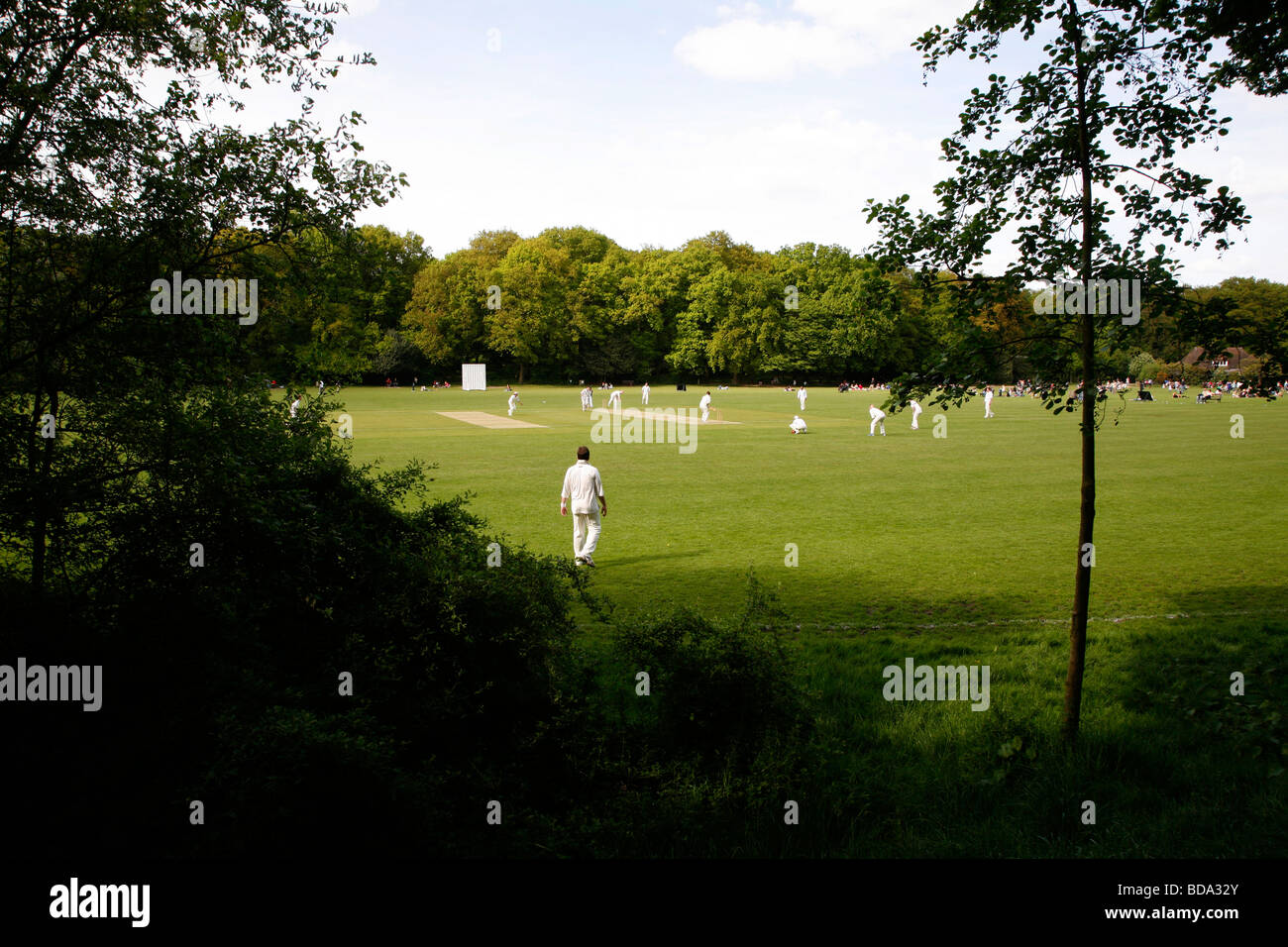 Spiel der Cricket in Highgate Woods, Highgate, London, UK Stockfoto