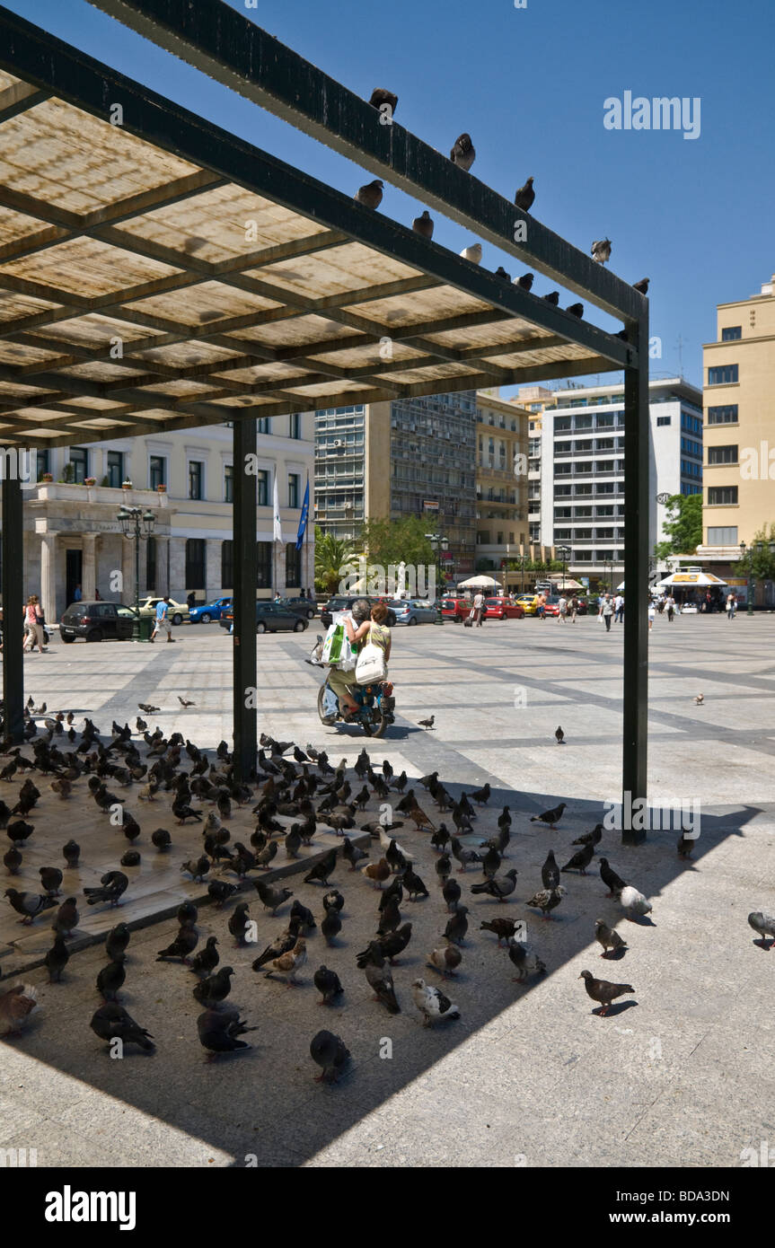 Tauben in einem Athen s Sommer Hitzewellen Platia Kotzia auf Athinas Street Zentrale Athen Griechenland kühl halten Stockfoto
