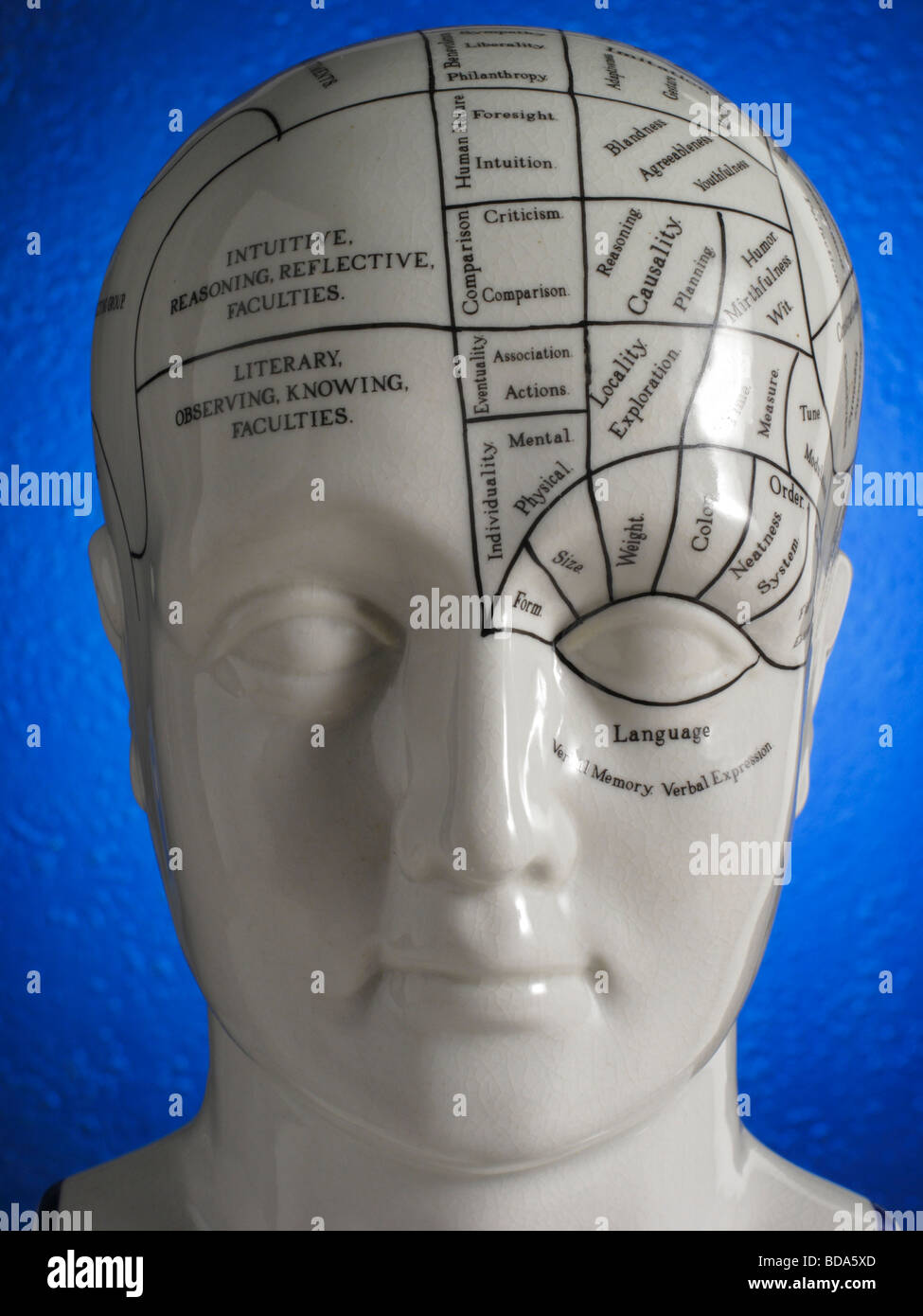 Nahaufnahme von Phrenologie Kopf Diagramm Stockfoto