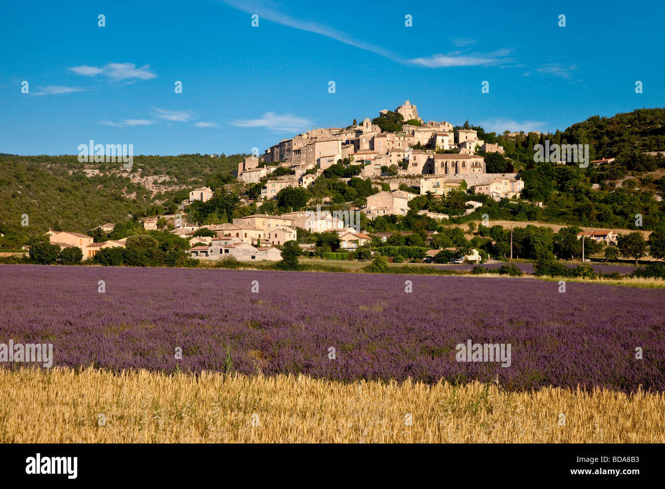 Lavendel und Weizen Feld unten Hügel Stadt von Simiane-la-Rotonde, Provence Frankreich Stockfoto