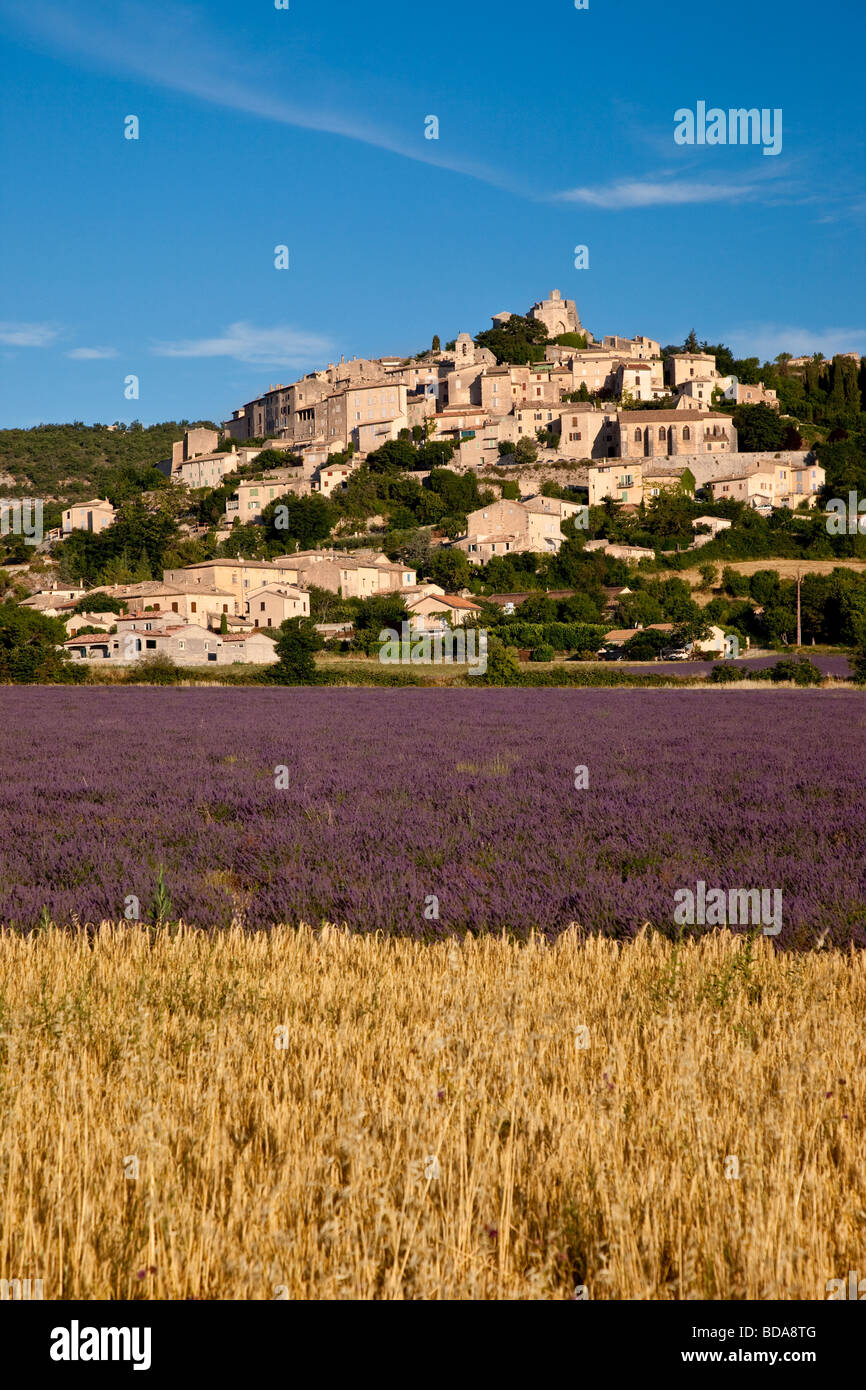 Lavendel und Weizenfeld unterhalb des mittelalterlichen Hügeldorfes Simiane-la-Rotonde, Provence, Frankreich Stockfoto