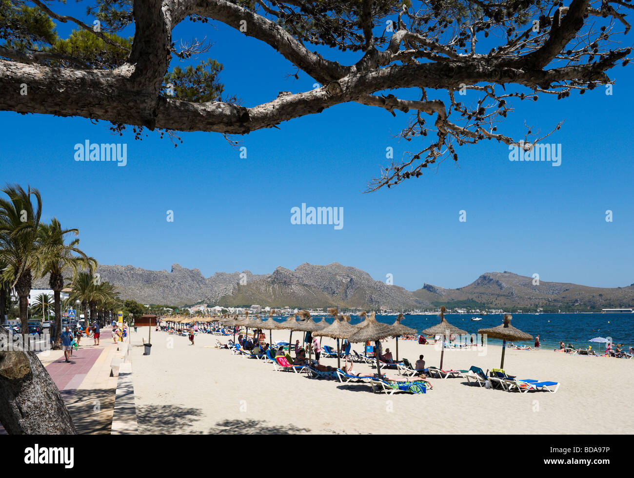 Promenade und Strand von Puerto Pollensa, Bucht von Pollensa, Nordküste, Mallorca, Balearen, Spanien Stockfoto