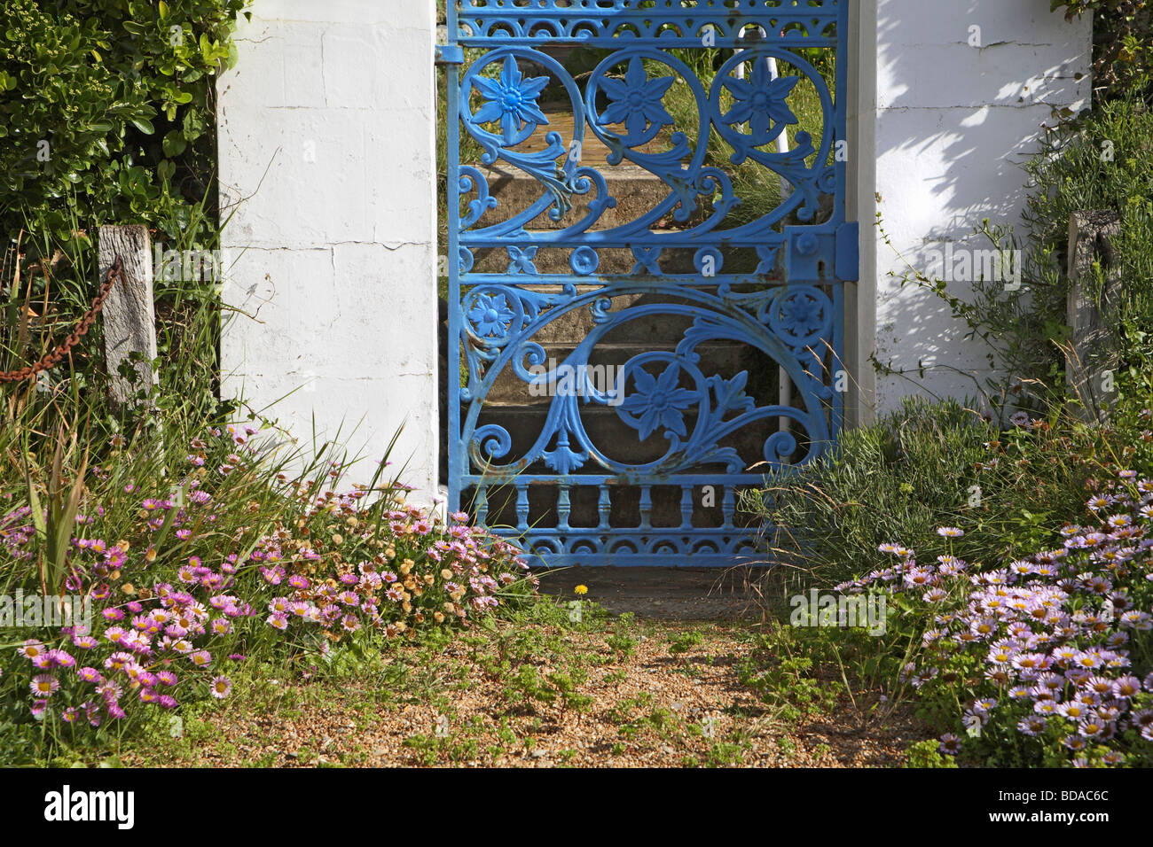 Britische Küste, Isle Of Wight, Küsten Flora und blauen Schmiedeeisen Gartentor Stockfoto Britische Küste, Isle Of Wight, Küsten Flora und blauen Schmiedeeisen Gartentor Stockfoto