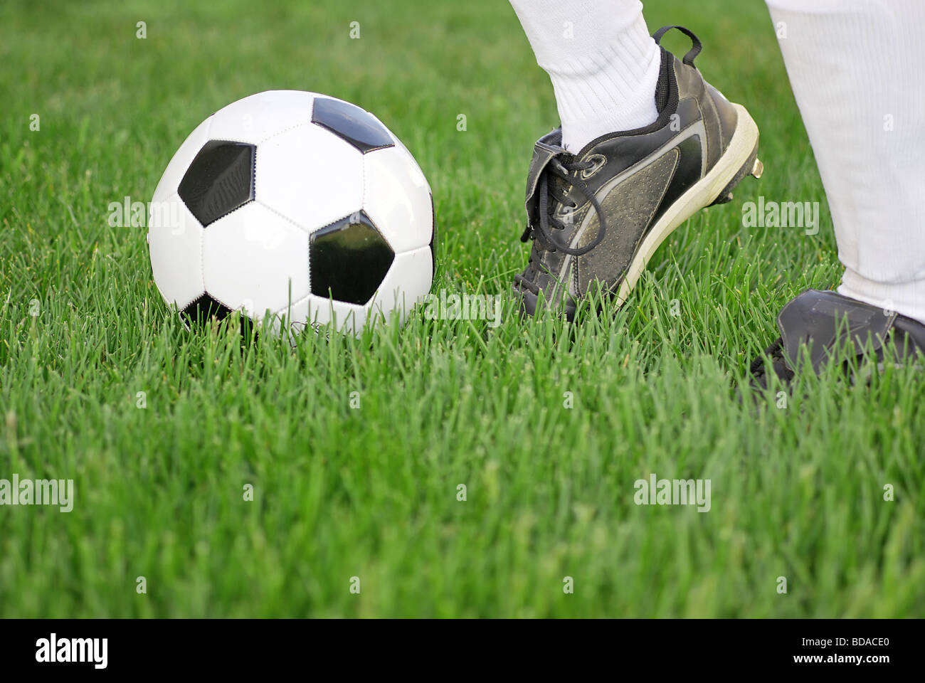 Fußball-Spieler treten Ball auf der Wiese Stockfoto