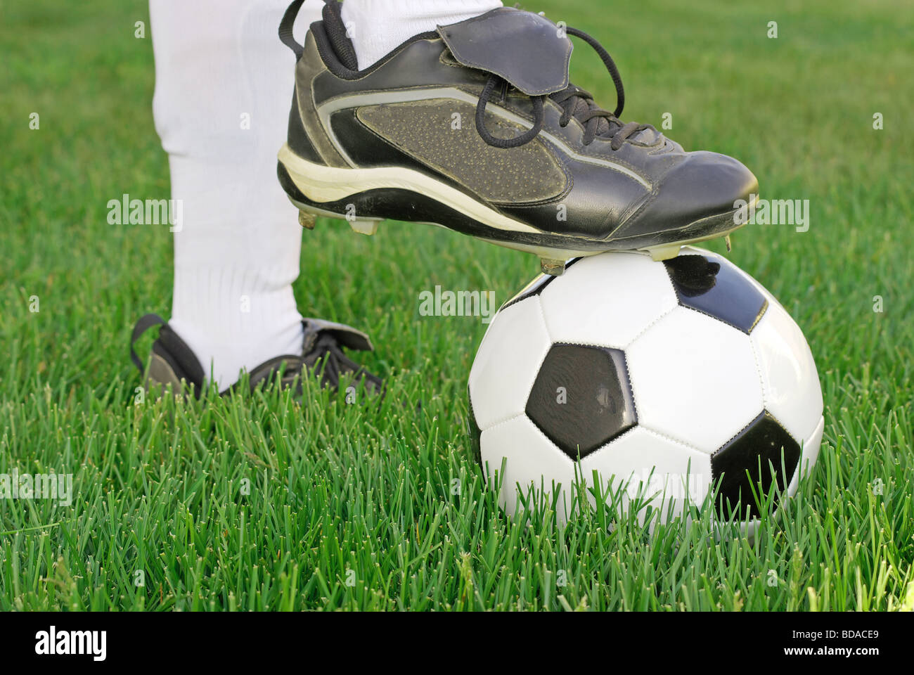 Fußball Spieler Fuß Ball auf der Wiese Stockfoto