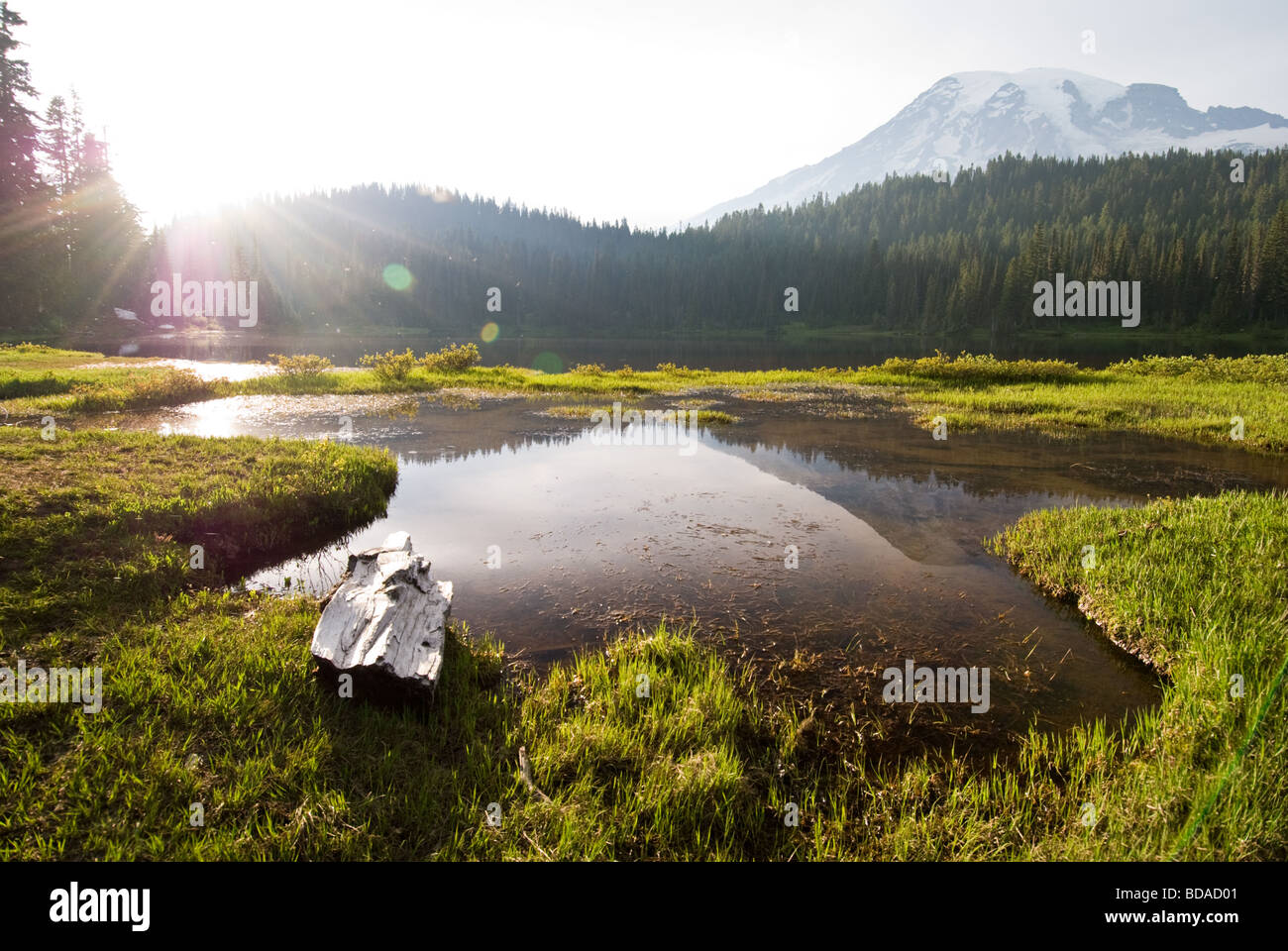 Die Sonne geht über Mt. Rainier Spiegelung See. Stockfoto