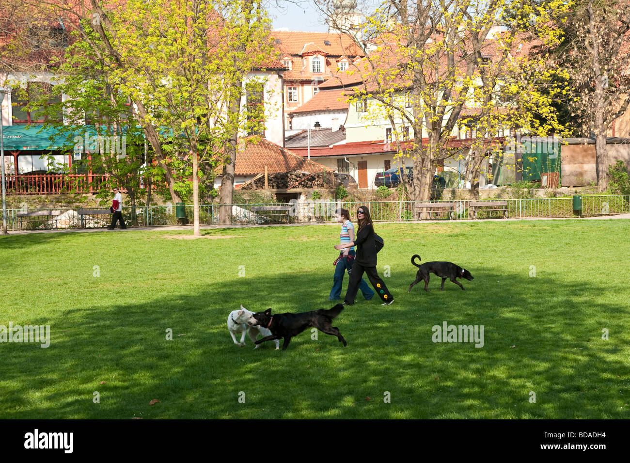 Fuß die Hunde auf der Insel Kampa, Prag Stockfoto