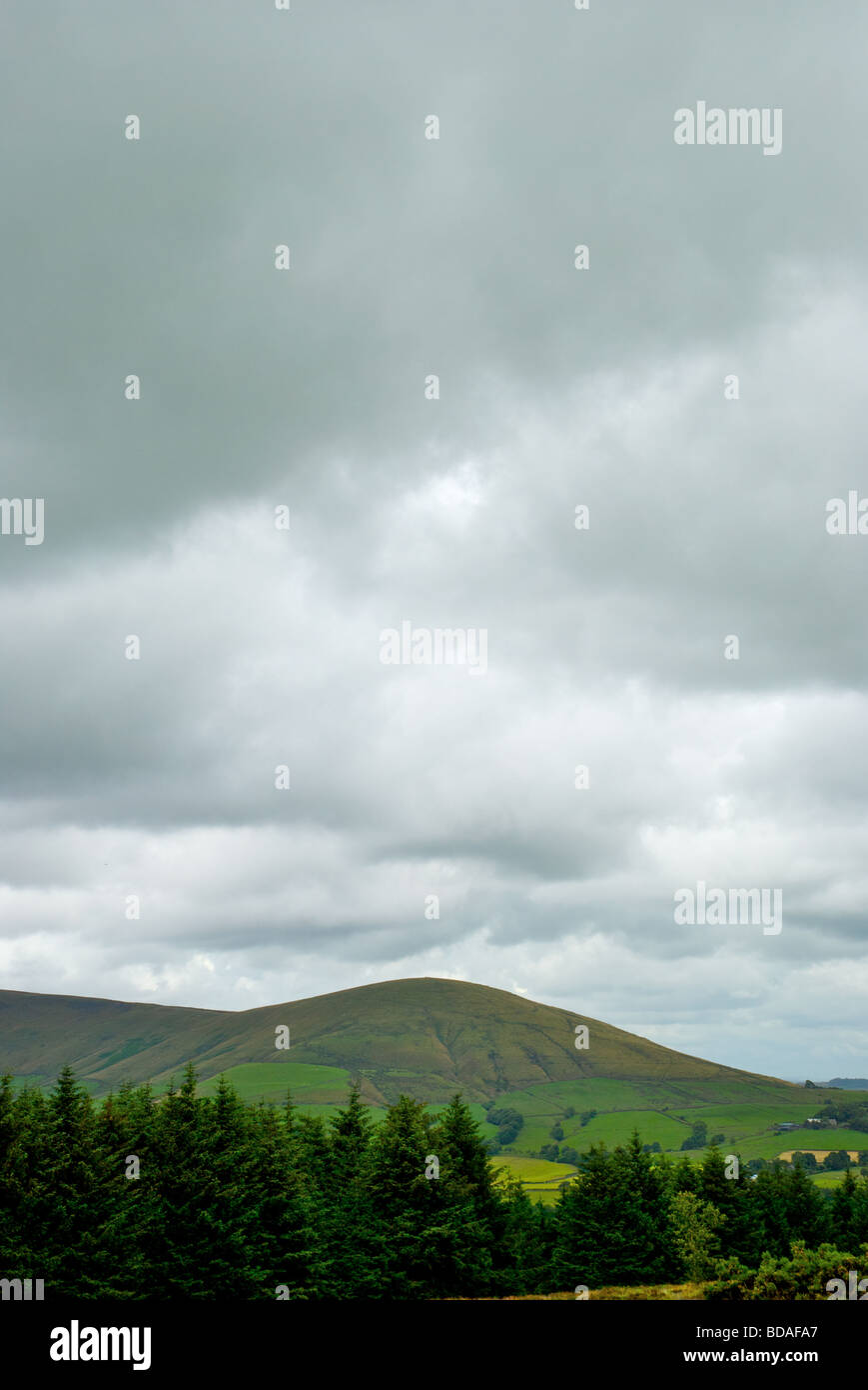 Beacon Fell Nationalpark, Sommer Stockfoto