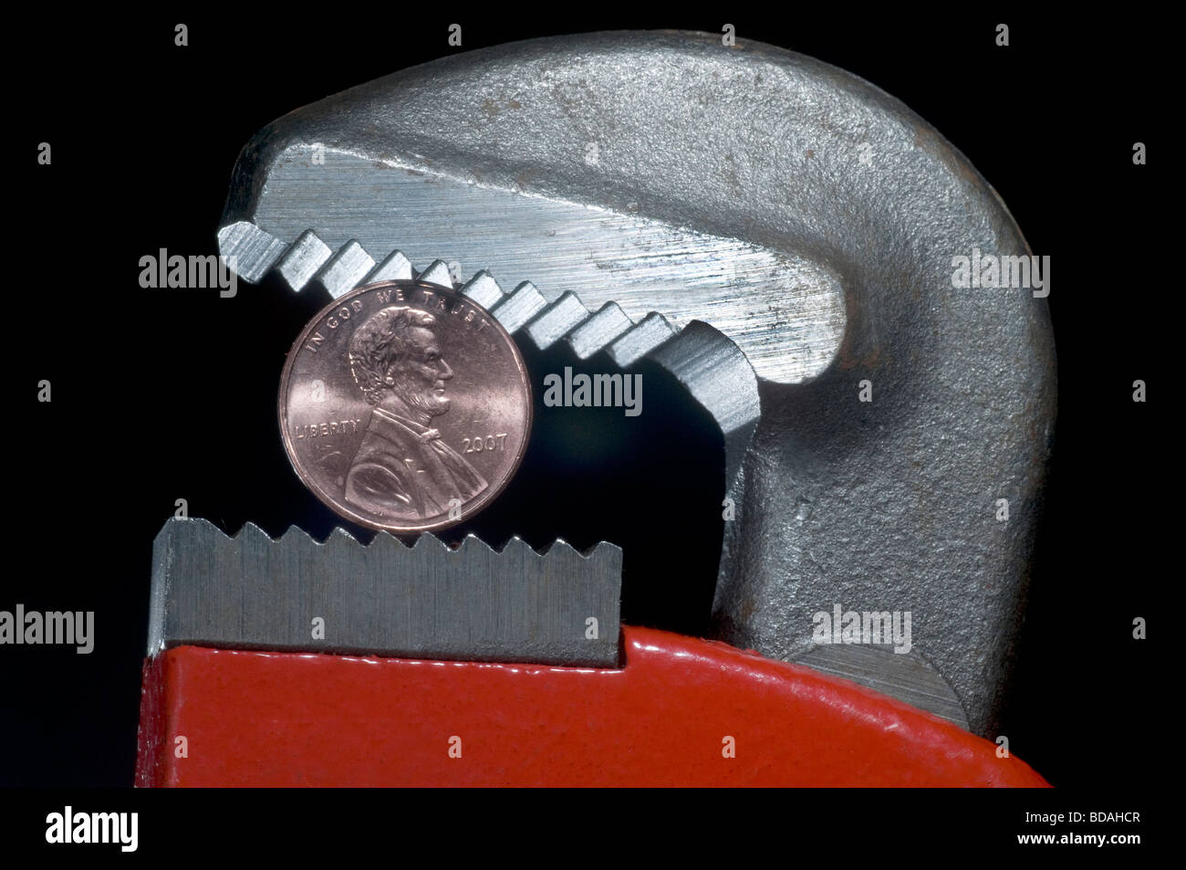 Pfennigfuchser. Stockfoto