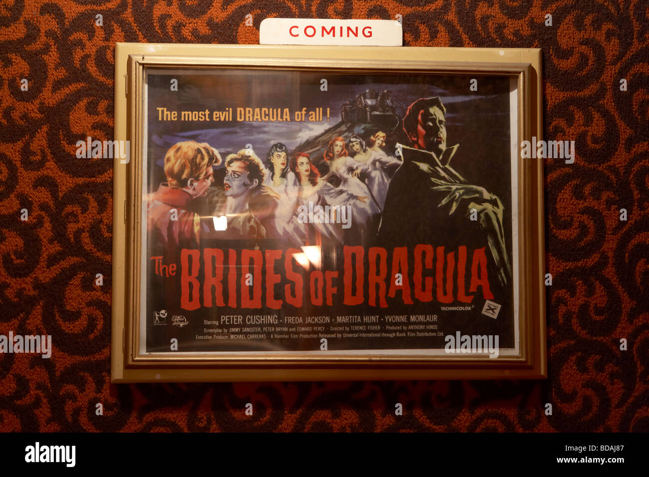alte 50er Jahre B-Movie-Poster für die Bräute von Dracula in der Eingangshalle des tudor Privatkino in Comber Stockfoto