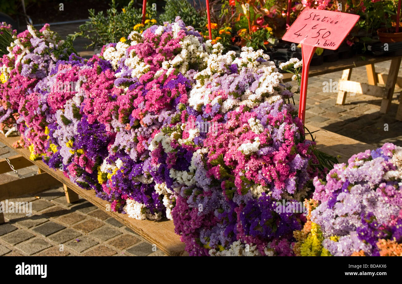 Blume Stand auf einem Markt in Britany Stockfoto