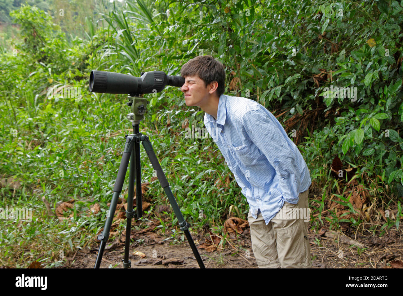 Teenager Vogelbeobachtung durch ein Teleskop, Tambopata National Reserve, Amazonasgebiet, Peru, Südamerika Stockfoto