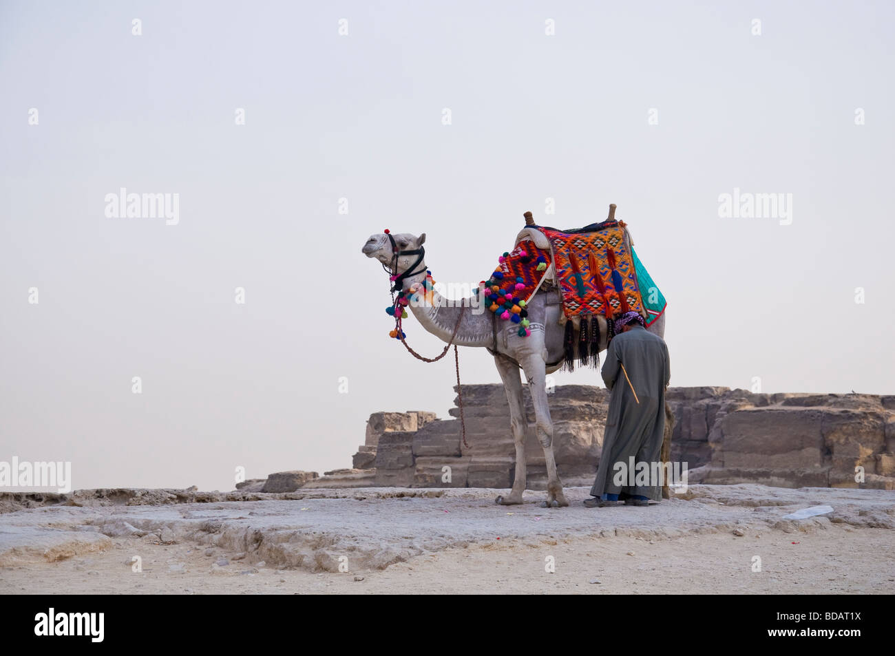 Kamel Besitzer warten auf Kunden vor Pyramide, Kairo, Ägypten. Stockfoto