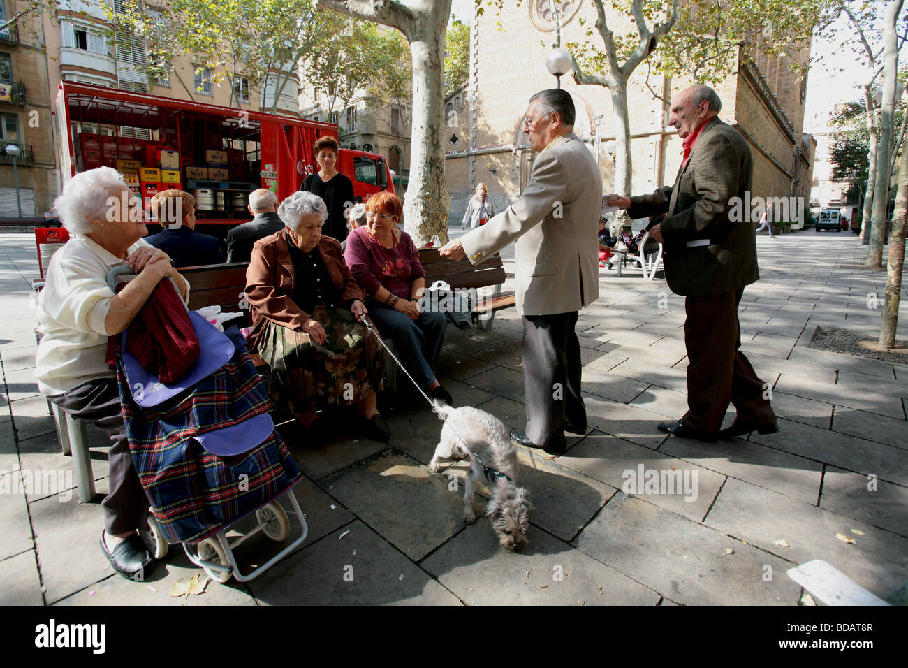 Ältere Menschen sitzen auf einer Bank auf dem Platz Placa Virreine in der Stadt Barcelona in Spanien Stockfoto