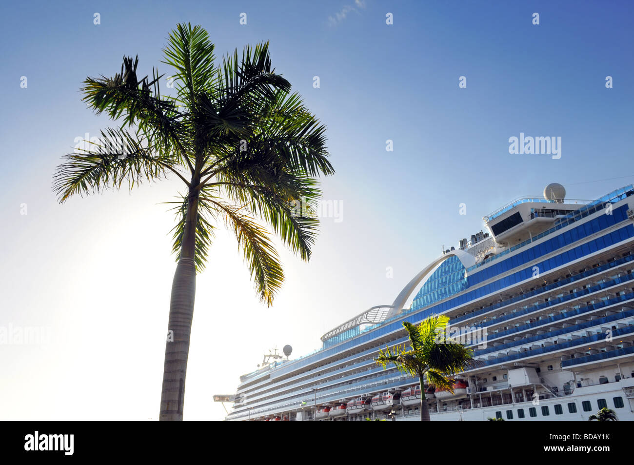 Palme und Kreuzfahrtschiff mit Sonne im Hintergrund shinning Stockfoto