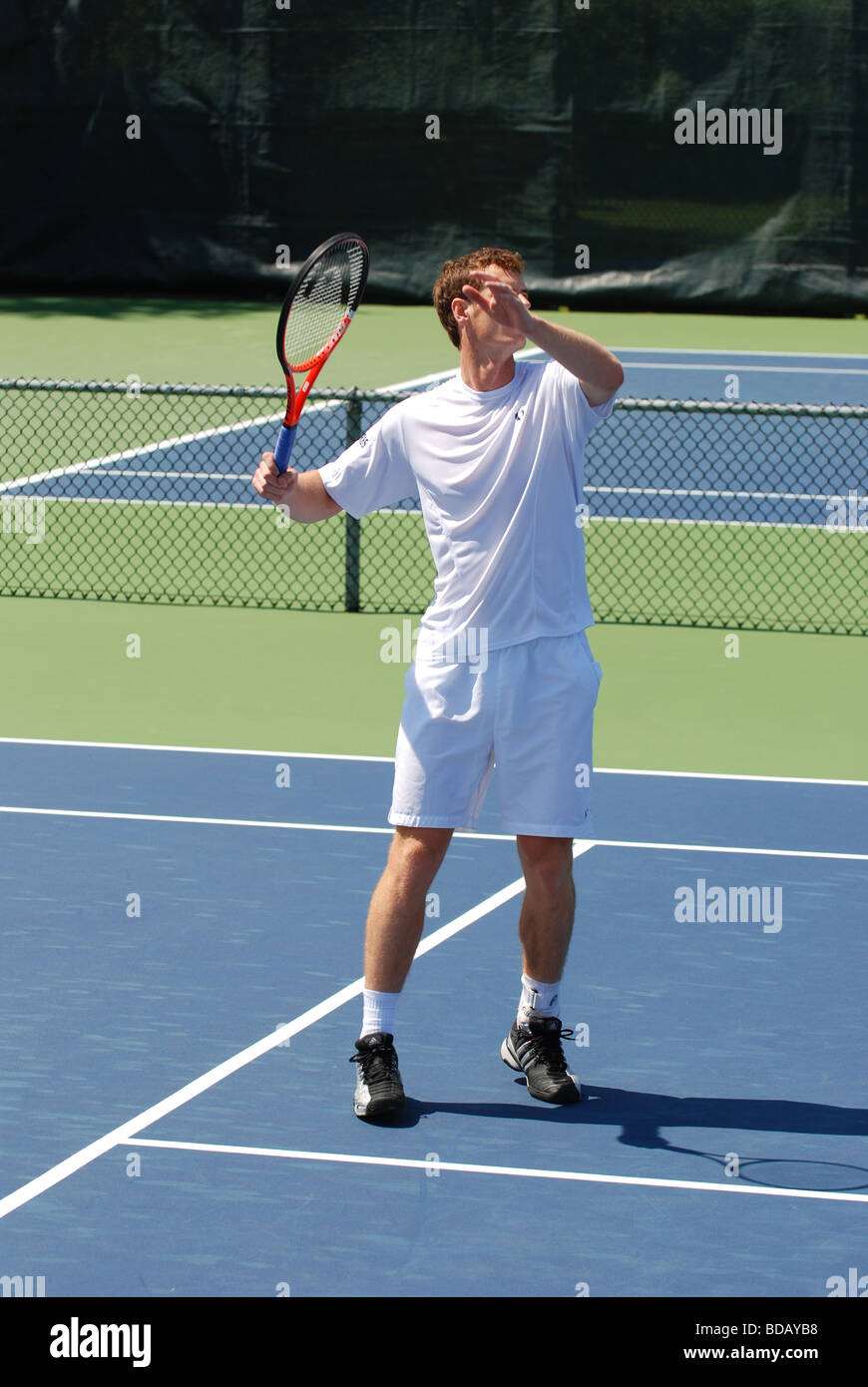 Andy Murray Profi-Tennisspielerin Stockfoto