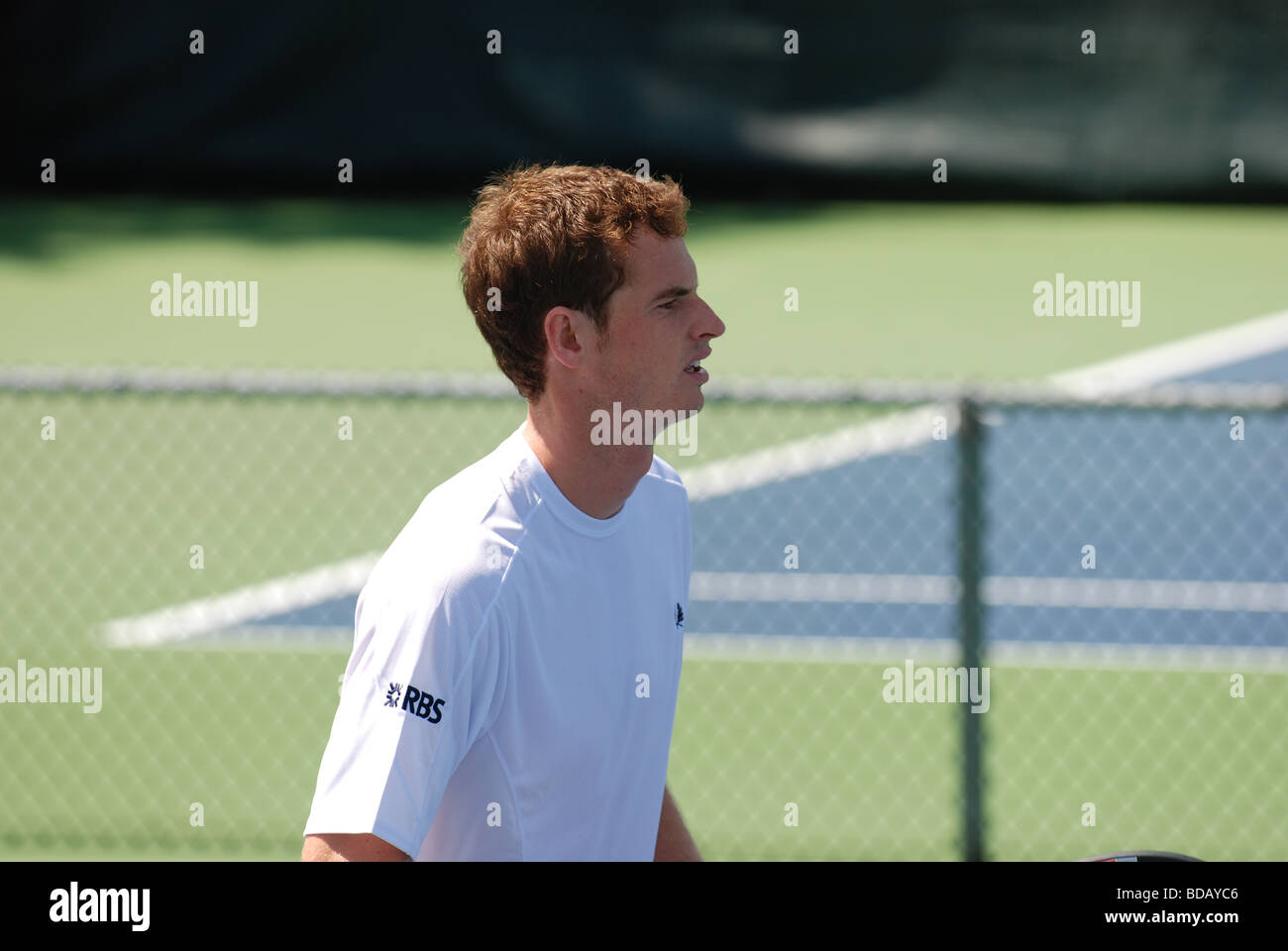 Andy Murray Profi-Tennisspielerin Stockfoto