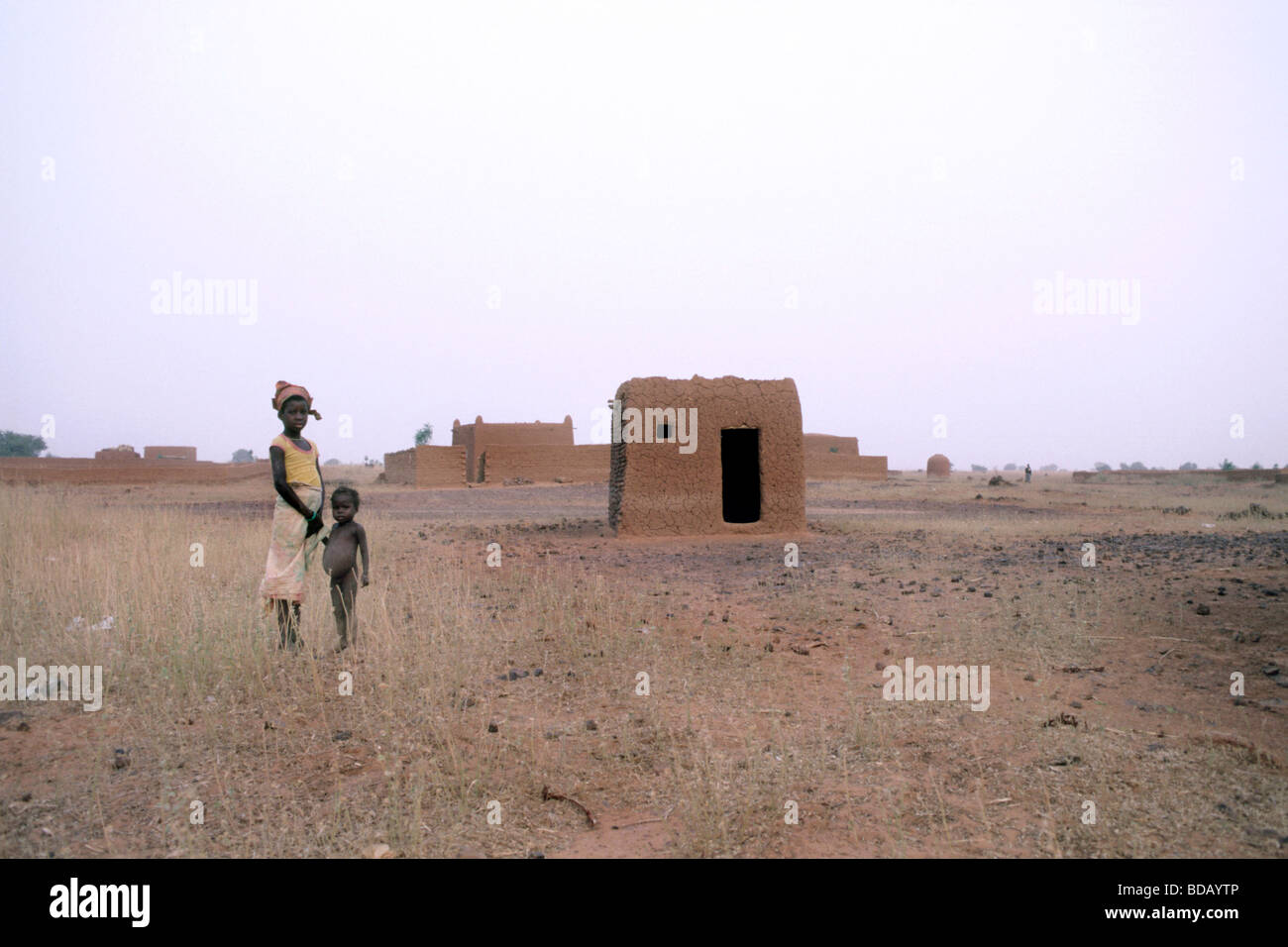 Niger abalak Stockfoto