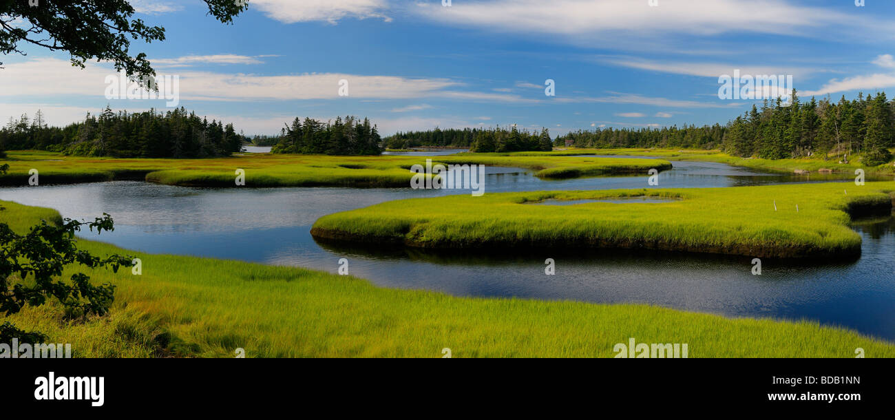 Panorama der Tide pool Wasser mit grünen Salzwiesen cordgrass auf Cape Sable Island Nova Scotia Stockfoto