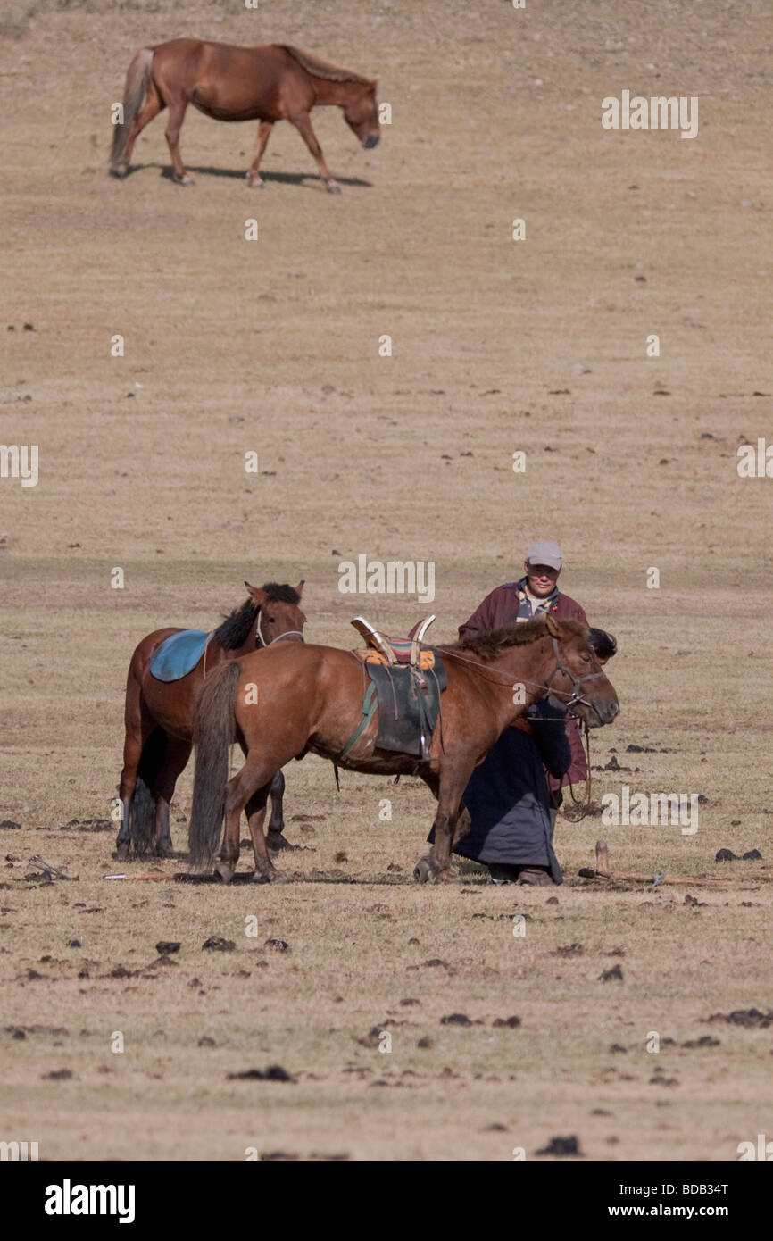 Mongolische Reiter neigt sein Pferd, nördlich-zentralen Mongolei Stockfoto