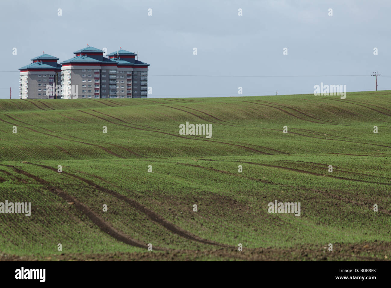 Soziale Wohntürme neben einem Farmfeld, Gallowhill, Paisley, Renfrewsire, Schottland, VEREINIGTES KÖNIGREICH Stockfoto