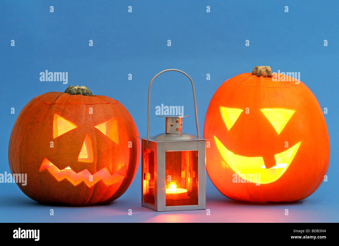 Zwei geschnitzte Halloween-Kürbisse und eine Laterne Stockfoto