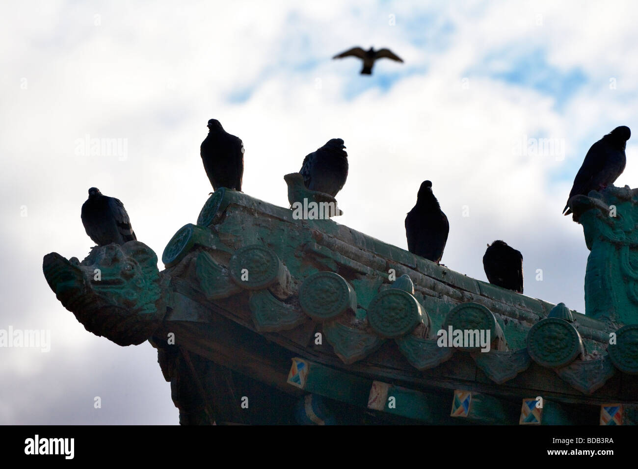 Vögel thront auf chinesische Art Dach Gandan Kloster, Ulaan Baatar, Mongolei Stockfoto