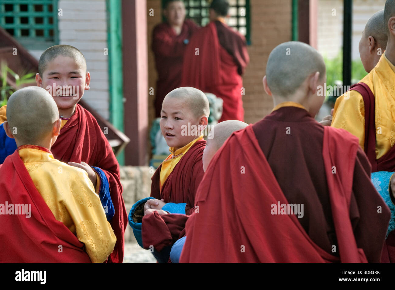 Junge mongolische buddhistische Mönche im Gandan Kloster, Ulan Bator, Mongolei Stockfoto
