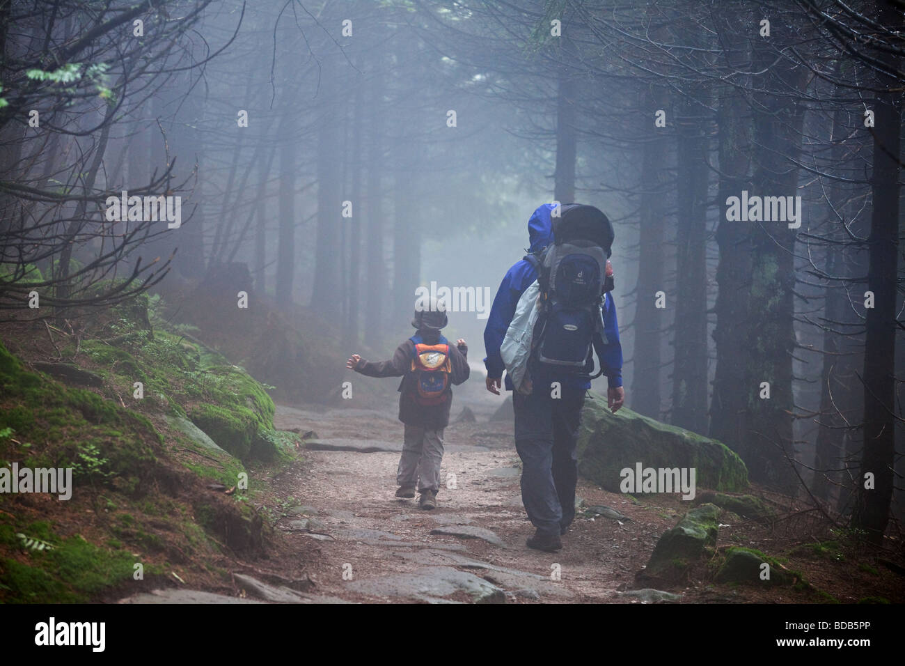 Vater und ein Kind wandern vorbei an Wald in Richtung Mummelsee aus Hornisgringe, Schwarzwald, Schwarzwald, Deutschland. Stockfoto