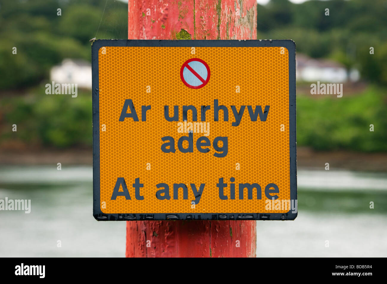 Großbritannien UK zweisprachige No Parking anmelden jederzeit, Walisisch und Englisch Stockfoto