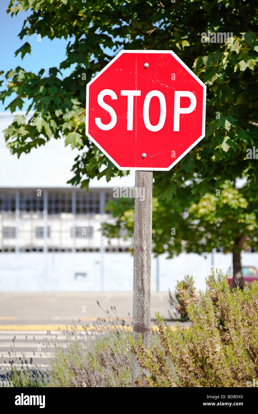 Stop-Schild am Schnittpunkt Stockfoto