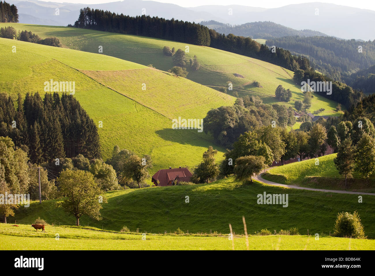 Schwarzwald-Landschaft in der Nähe von St. Peter, Deutschland Stockfoto