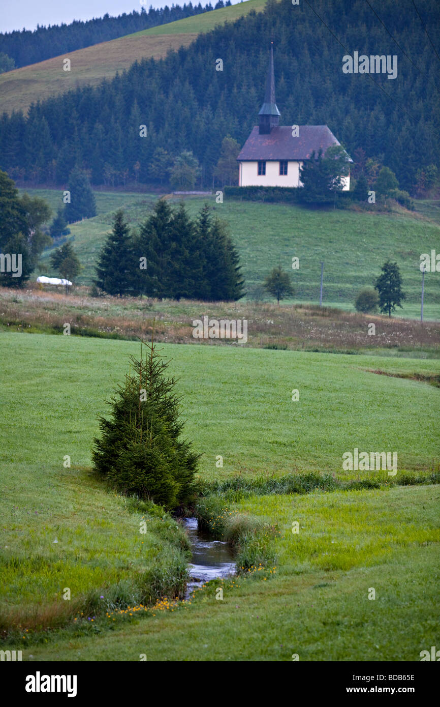 Breg-Fluss im Schwarzwald, Deutschland. Nach seinem Eintritt in Brigah Fluss bekannt es als die Donau. Stockfoto