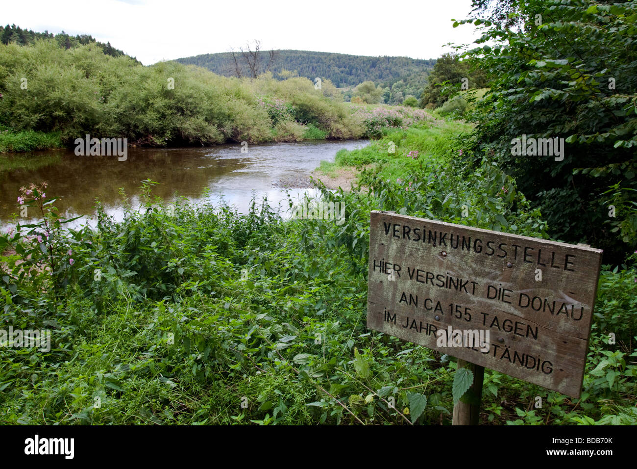 Donauversickerung bei Immendingen, Deutschland. Der Ort, wo die Donau stoppt fließt und sinkt in Donauversickerung bei Immendingen, Deutschland. Der Ort, wo die Donau stoppt fließt und sinkt in