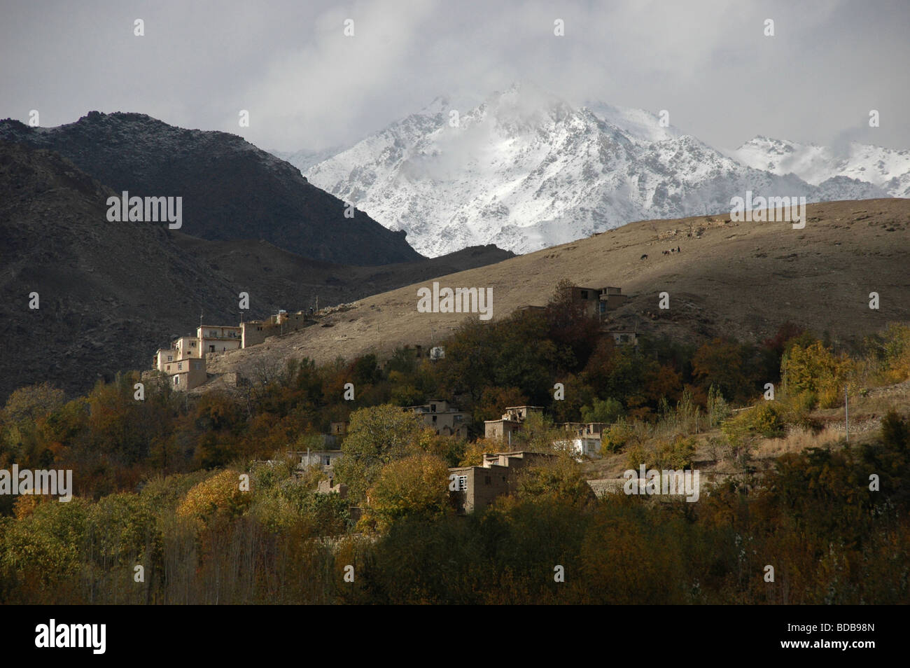 Ein Hirte mit Vieh auf einem Hügel über dem Dorf Istalif, in den Ausläufern der Hindu Kush Bergen in Afghanistan thront. Stockfoto