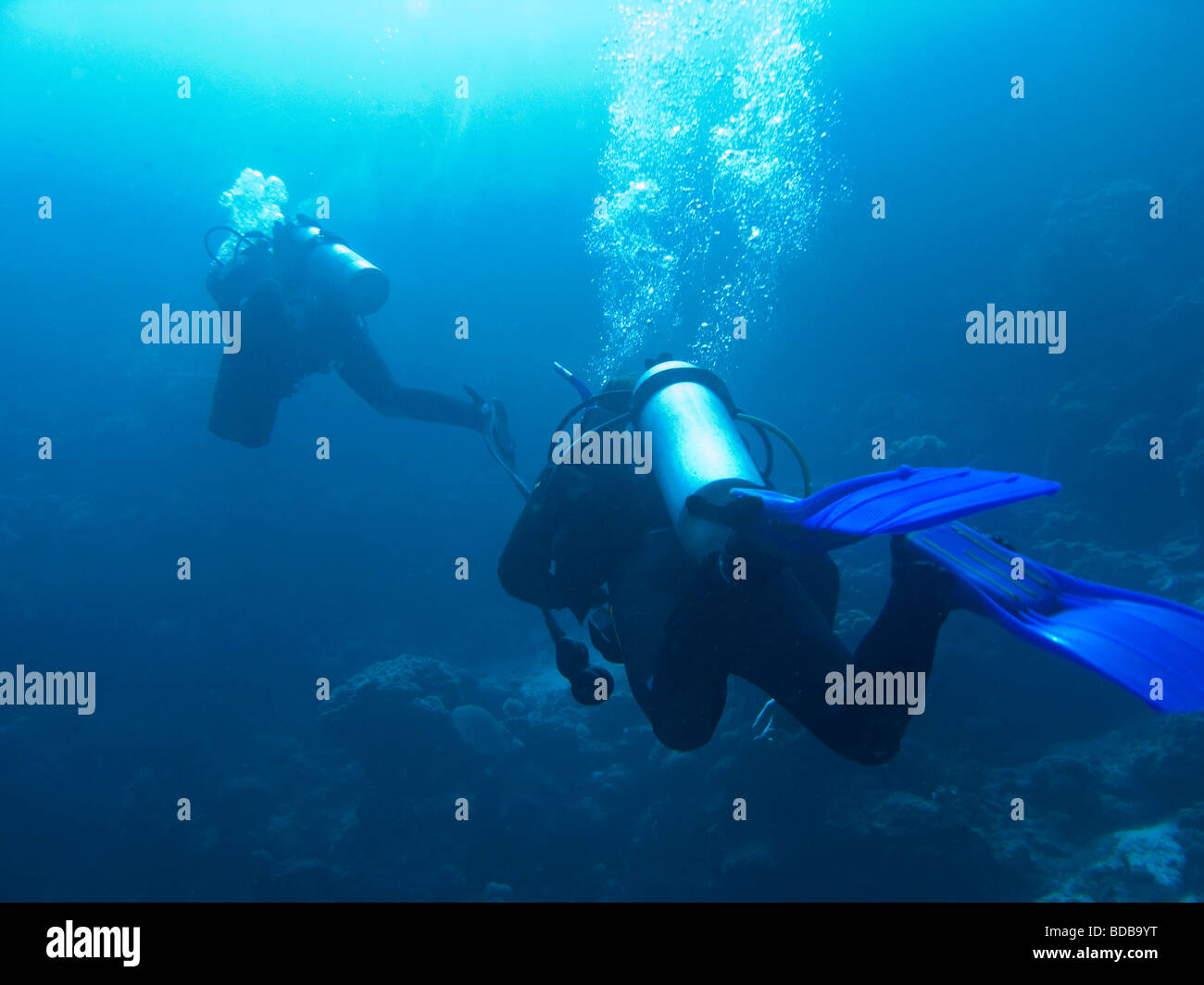 Indonesien Sulawesi Wakatobi Nationalpark Unterwasser Taucher schwimmen über dem Korallenriff Stockfoto