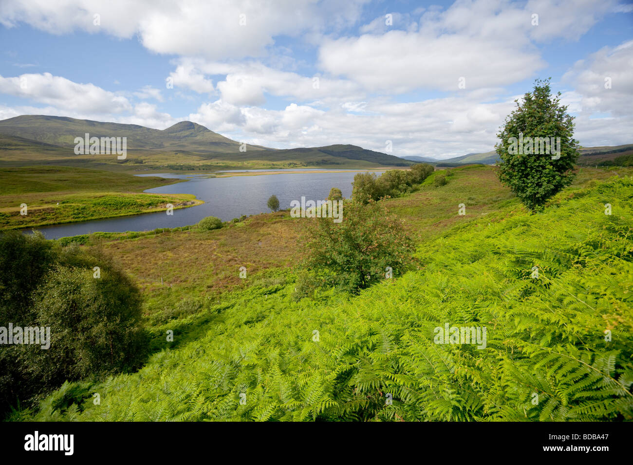 Loch Luichart im Hochland von Schottland Stockfoto