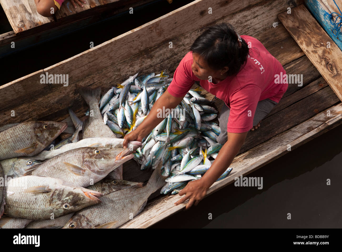 Indonesien Sulawesi Kaledupa Insel Ambuea Fischmarkt Dorf lokalen Frau verkaufen Fang vom kleinen Fischerboot Stockfoto