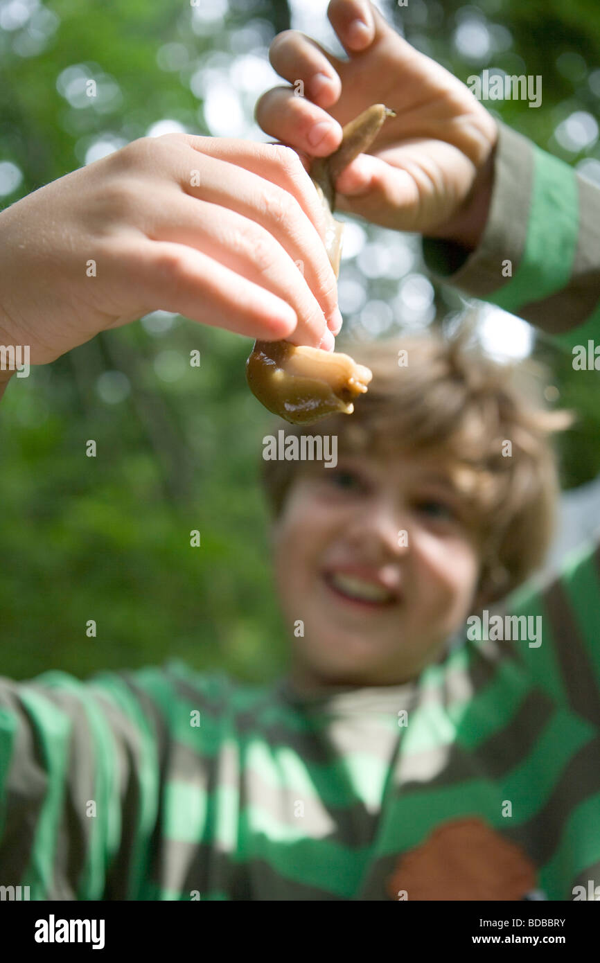 neun Jahre alten Jungen hält eine riesige Banane Slug in Erstaunen, Regenwald, Vashon Island, Washington State. Stockfoto