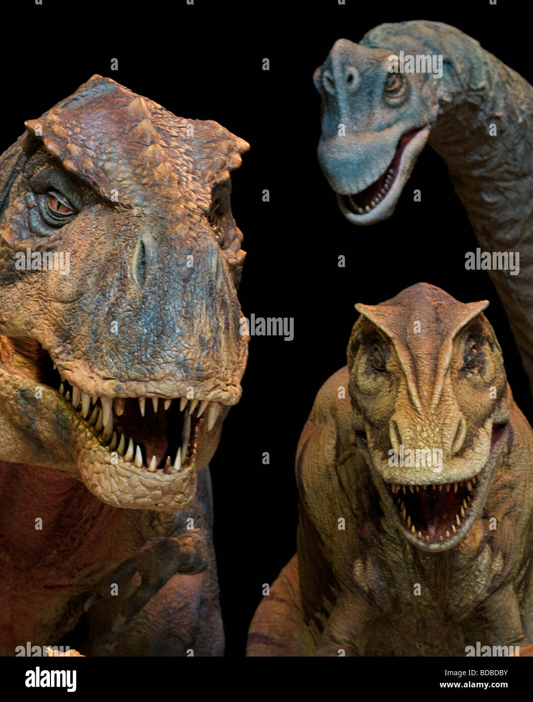 Wandern Mit Dinosaurier Stockfotografie Alamy