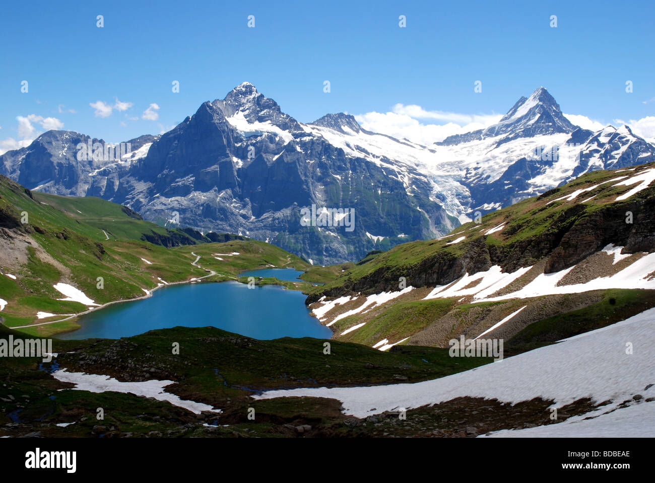 Bachalpsee-See mit Wetterhorn und Schreck-Berner Alpen, oberhalb Grindelwald, Schweiz Stockfoto