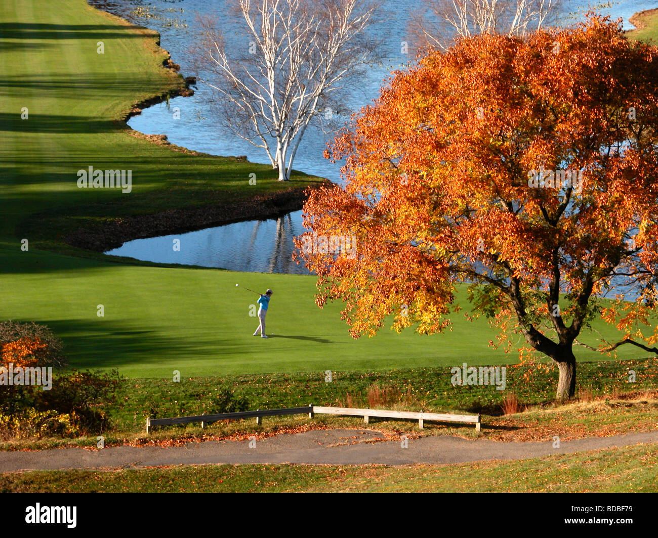 einzelne Golfer Golf Knüppeln auf grün mit starkem Licht am Nachmittag und im Herbst fallen, Bäume und See im Hintergrund Stockfoto