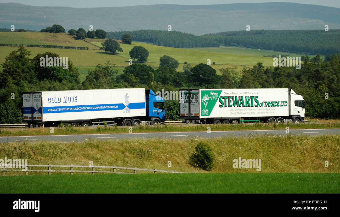 Temperaturgeführte Scania Kühlwagen kalte bewegen und Stewarts Tayside Stockfoto