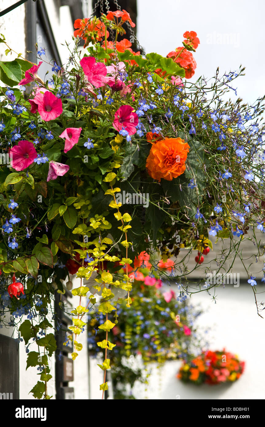 Hängenden Körben von Blumen Stockfoto