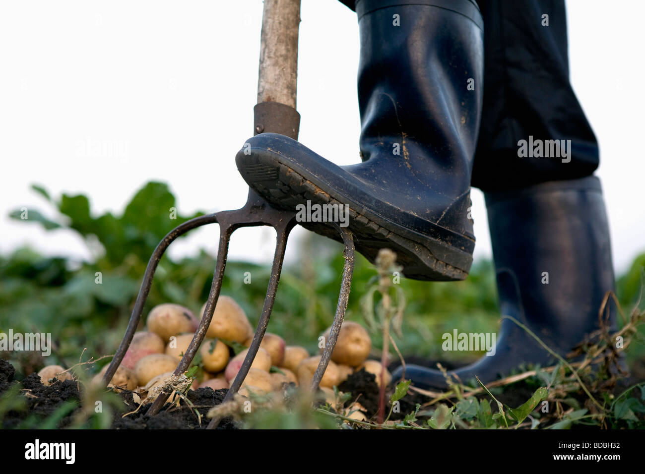 Detail der Landwirt in Gummistiefeln mit Heugabel Stockfoto